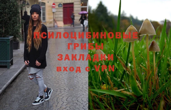 дурь Вяземский