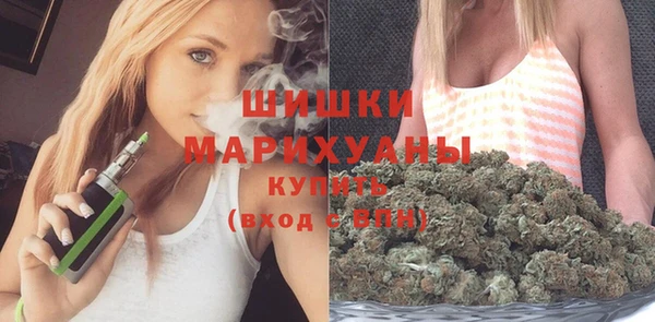 дурь Вяземский