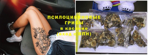 дурь Вяземский